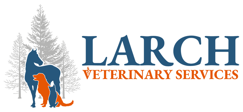 Larch Veterinary Services