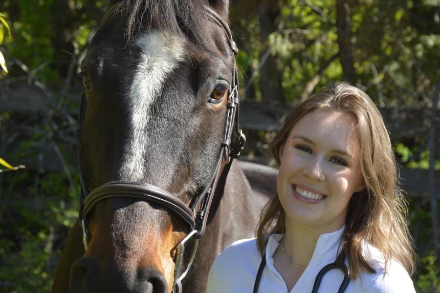 vet riding a horse