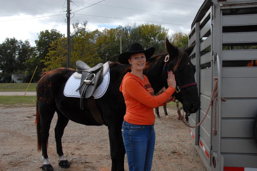 vet petting a horse